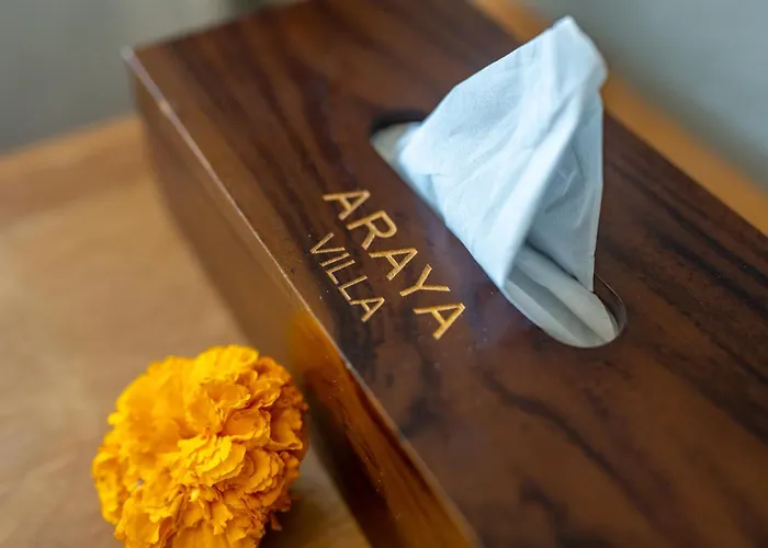 Araya 3*